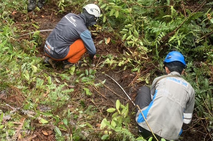 PLN Sigap Bersihkan Jalur Transmisi Usai Lebaran untuk Antisipasi Cuaca Ekstrem di Kalimantan Tengah