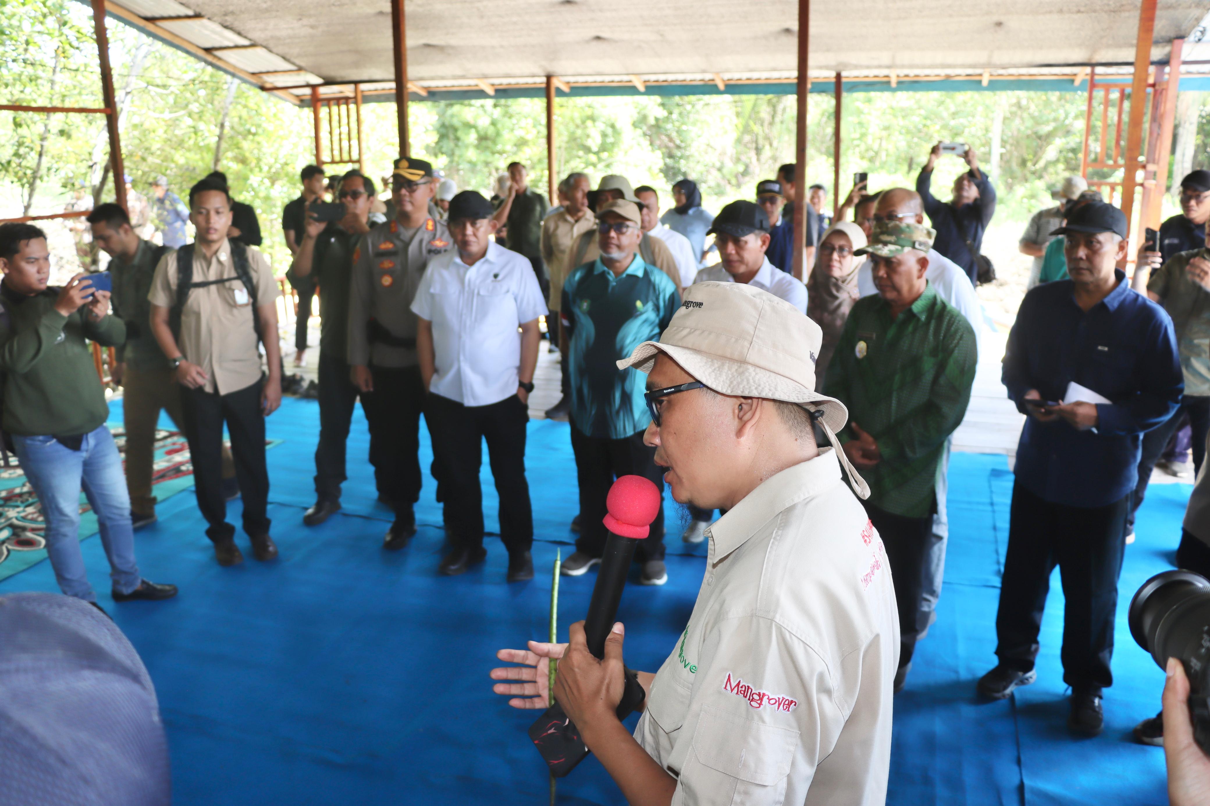 Ini Penjelasan OCD, Model Penanaman Mangrove yang Dipuji Menteri Hanif