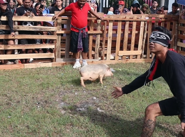 Lomba Menangkap Babi Kembali Meriahkan Pekan Gawai Dayak Kalbar ke-39, Peserta Sangat Antusias!