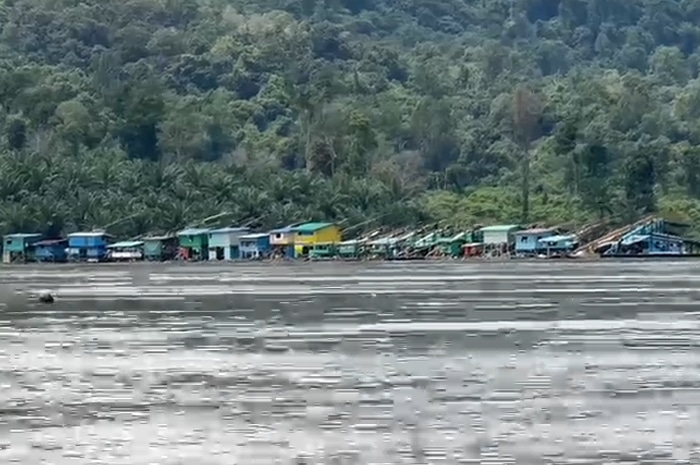 Tambang Emas Ilegal Marak di Semerangkai Sanggau: Warga Resah, Walhi Desak Penegakan Hukum Tegas