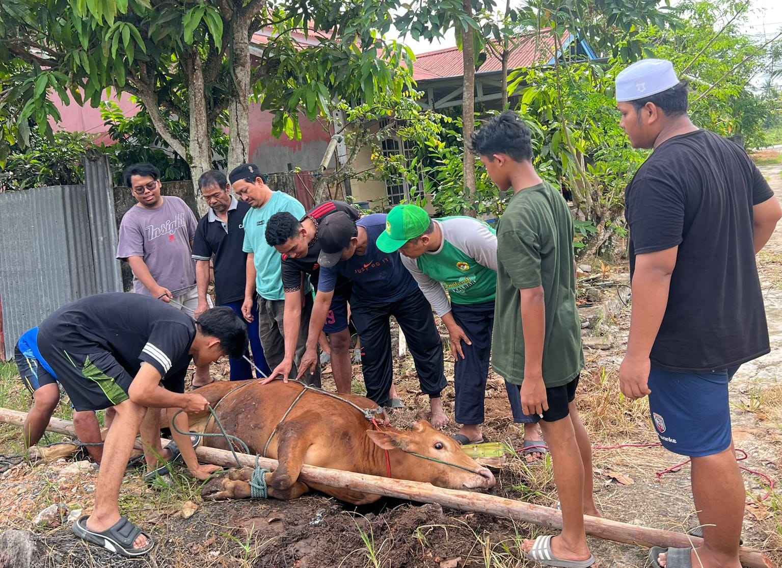 Momen Iduladha 1446 H, LDII Kalbar Sembelih 395 Hewan Kurban