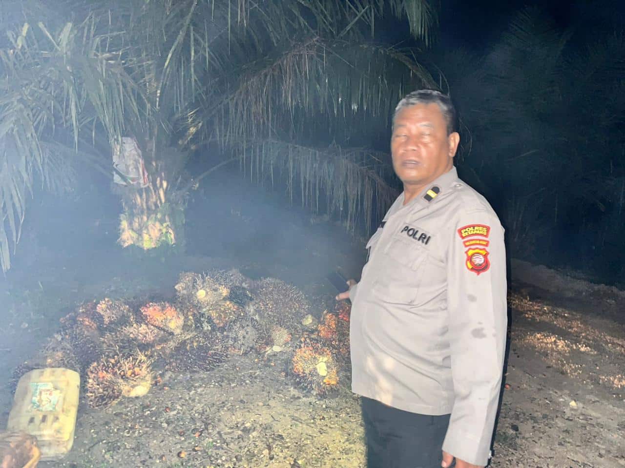 Patroli Gabungan Ungkap Dugaan Pencurian Sawit di Wilayah PT Cargill Kecamatan Marau Ketapang