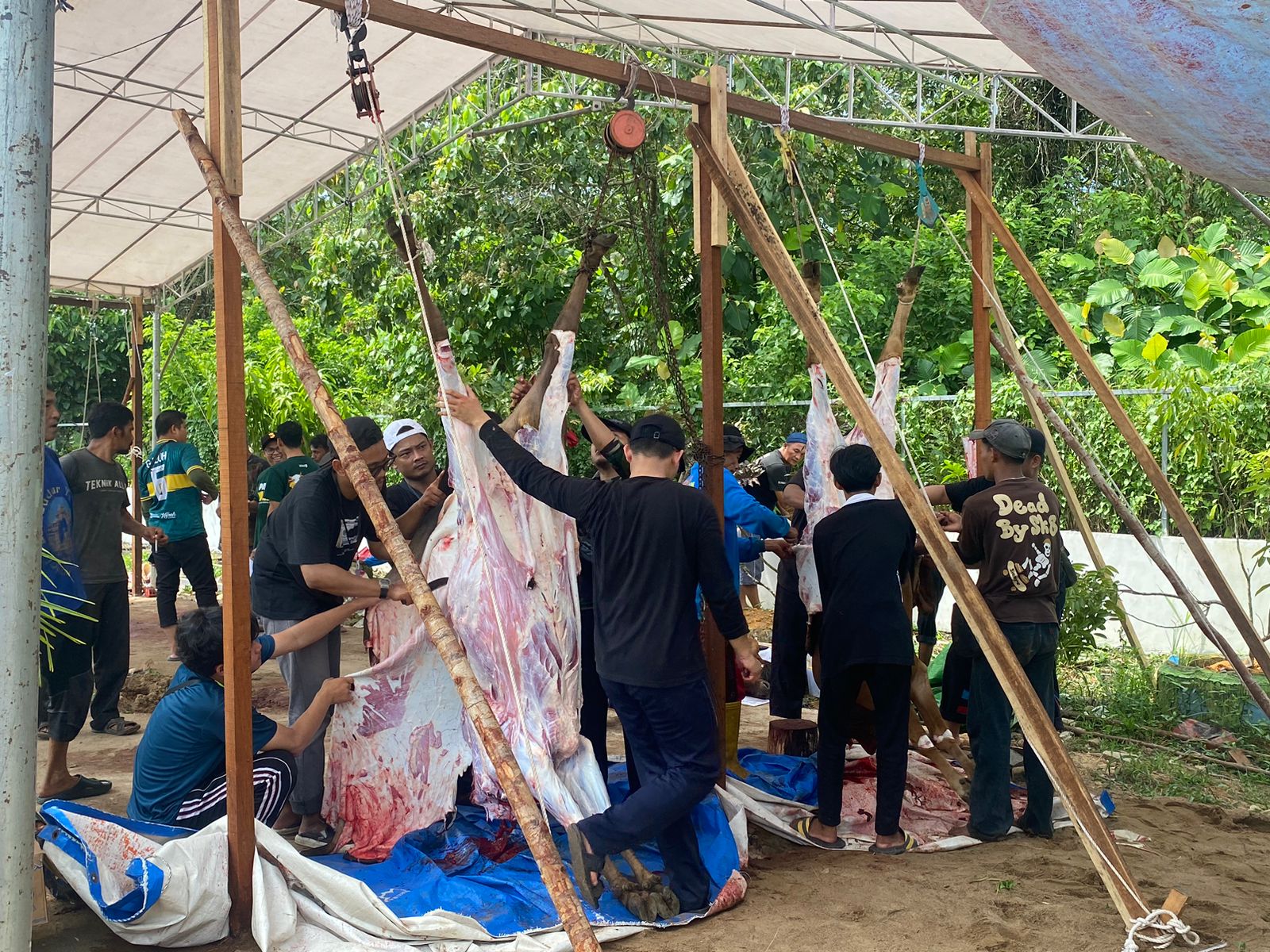 Masjid Ismuhu Yahya Sembelih Ribuan Hewan Kurban, Dagingnya Dibagikan ke Warga Termasuk Non Muslim