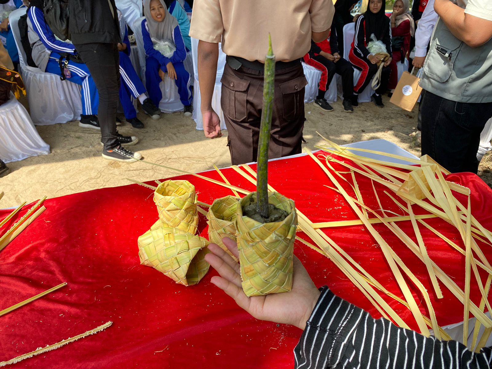 Mempawah Mangrove Conservation Bikin Wadah dari Daun Nipah Gantikan Polybag Plastik Pembibitan Mangrove
