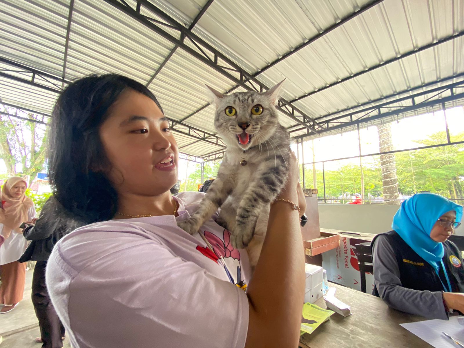 Poscar Pontianak Gelar Festival Kucing Kampung, Angkat Derajat Si Anabul Lokal