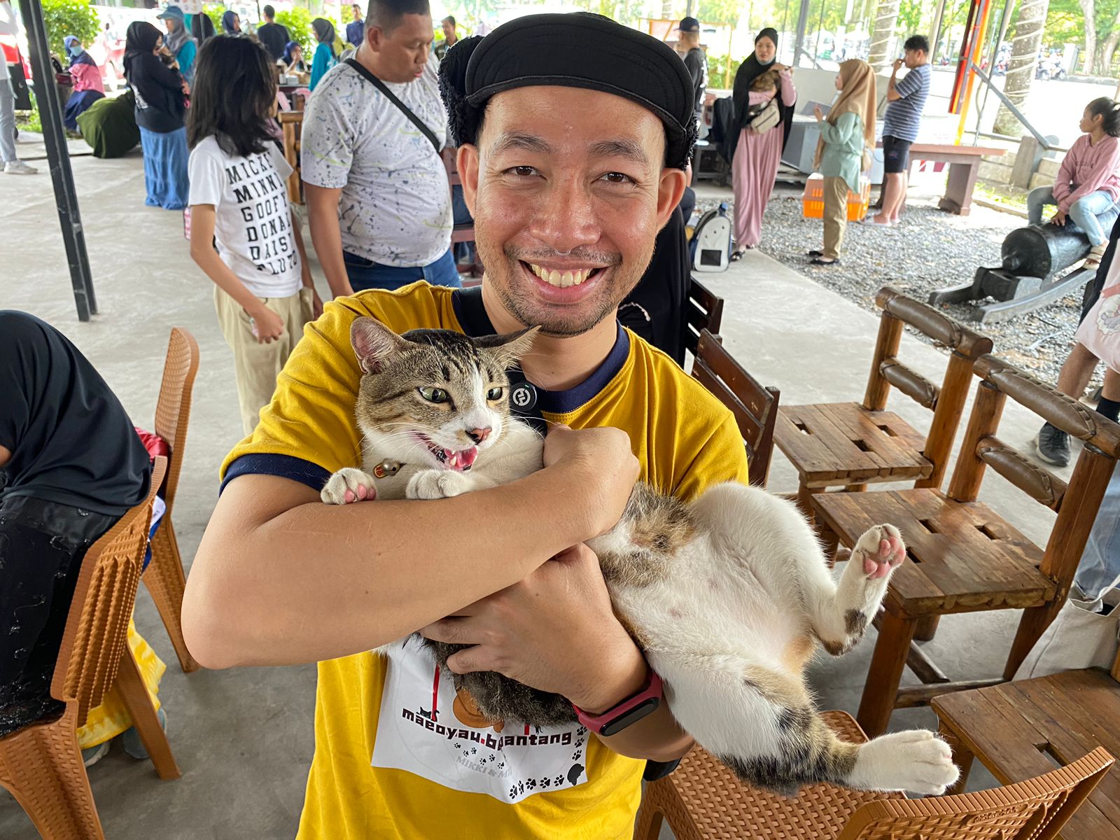 Mikki, Kucing Asal Sekadau Berbobot 5,7 Kg Curi Perhatian di Festival Kucing Kampung ke-5 di Pontianak