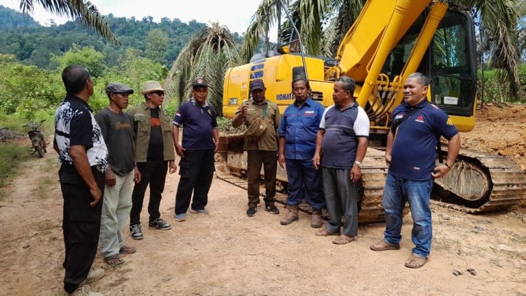 Garap Hutan Lindung di Ketapang Puluhan Tahun, Anak Usaha Sinarmas Group Disegel