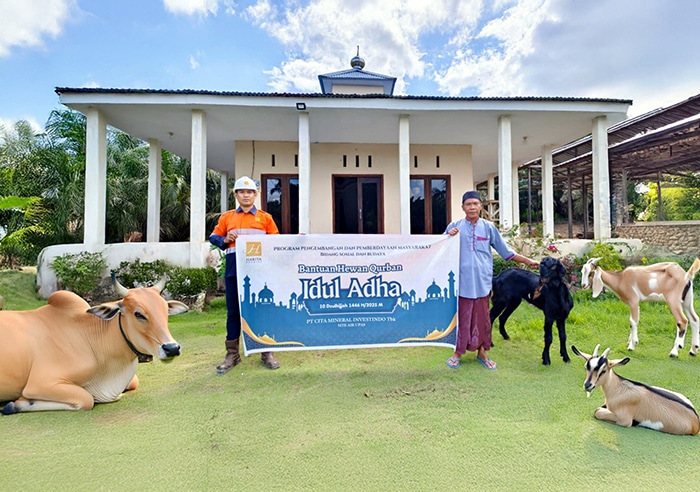 Idul Adha, CMI Salurkan 32 Hewan Kurban ke Masyarakat Sekitar Tambang