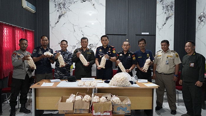 KKP Gagalkan Penyelundupan 1.950 Butir Telur Penyu di Pelabuhan Kapet Sintete Sambas