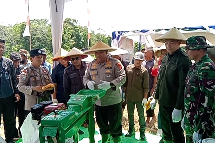 Kelompok Tani Mandala di Kedamin Darat Dukung Program Ketahanan Pangan, Ucapkan Terima Kasih ke Presiden Prabowo