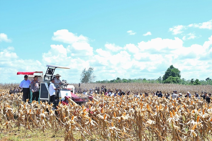 Panen Jagung 344 Ribu Hektare, Prabowo: Indonesia Harus Bisa Produksi Makanannya Sendiri
