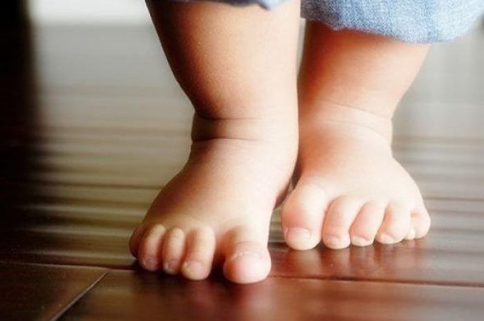 Balita di Singkawang Hilang Misterius, Tim K-9 Temukan Titik Aroma Dekat Rumah Pengasuh