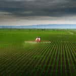 { \Illuminate\Support\Str::words($kategorix->post_title, 30, '') }}