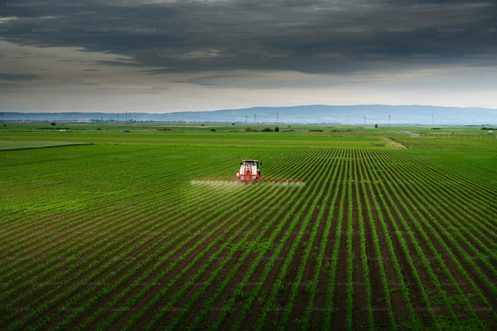Bukan Indonesia, 10 Negara Ini Buktikan Pertanian Maju Bukan Soal Luas Lahan Saja