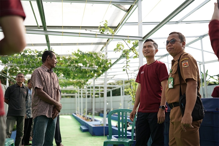 Dukung Ketahanan Pangan dan Ekowisata, PLN Kalselteng Bangun Integrated Farming di Banjarbaru