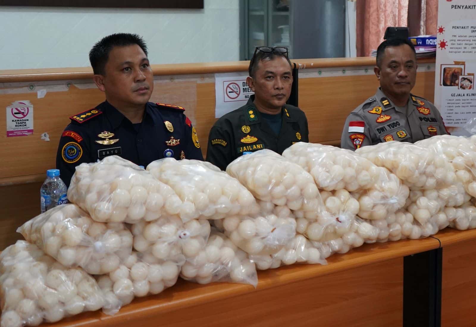 KKP Gagalkan Penyelundupan 5.400 Telur Penyu di Kalbar