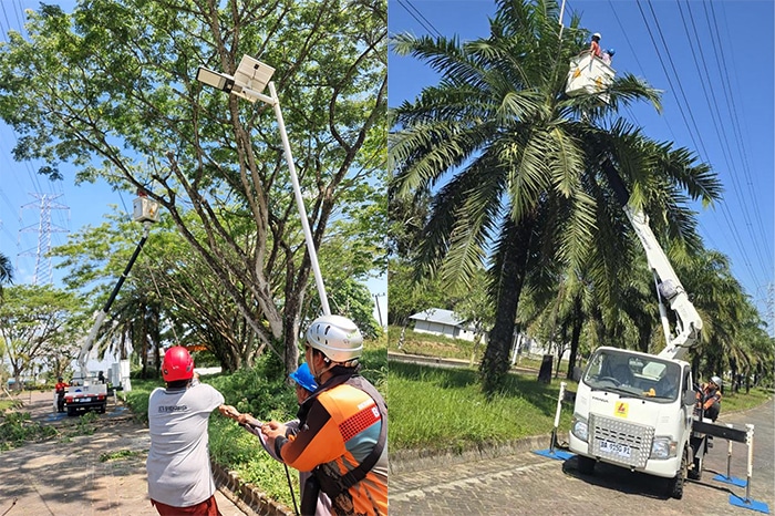 PLN Pastikan Keandalan Listrik Jelang HUT RI, Jalur SUTT Cempaka–Bandara Dibersihkan dari Pohon Kritis