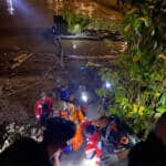 { \Illuminate\Support\Str::words($kategorix->post_title, 30, '') }}