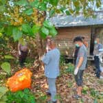 { \Illuminate\Support\Str::words($kategorix->post_title, 30, '') }}