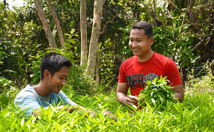 BSI Maslahat Dorong Ketahanan Pangan Pesantren Lewat Program Pesantren Sehat
