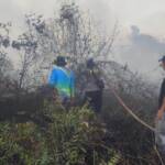 { \Illuminate\Support\Str::words($kategorix->post_title, 30, '') }}