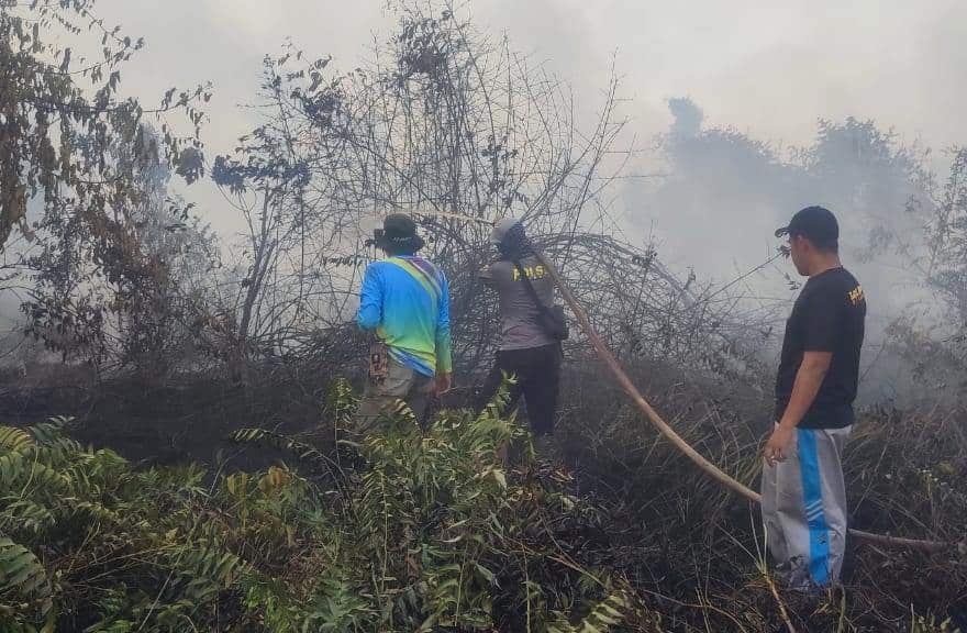 7 Hektare Lahan Terbakar di Dekat Jembatan Tayan, Ratusan Personel Gabungan Dikerahkan