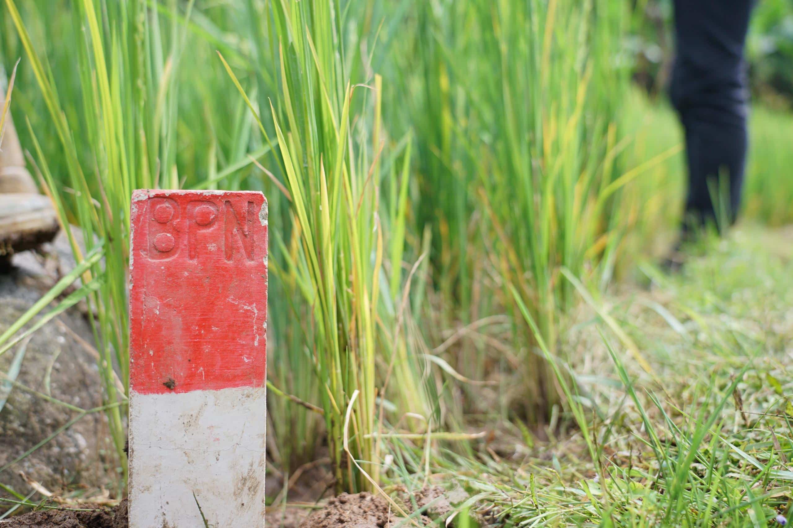 Selain Hindari Konflik, Menteri Nusron Nilai Pemasangan Patok Bisa Tandai Batas Tanah APL dengan Non-APL
