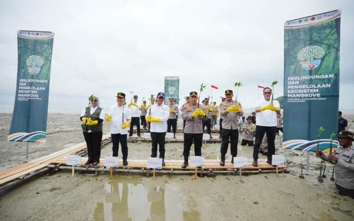 Kapolri dan Menteri LHK Tanam Mangrove di Mempawah, Dukung Pemulihan Ekosistem Pesisir