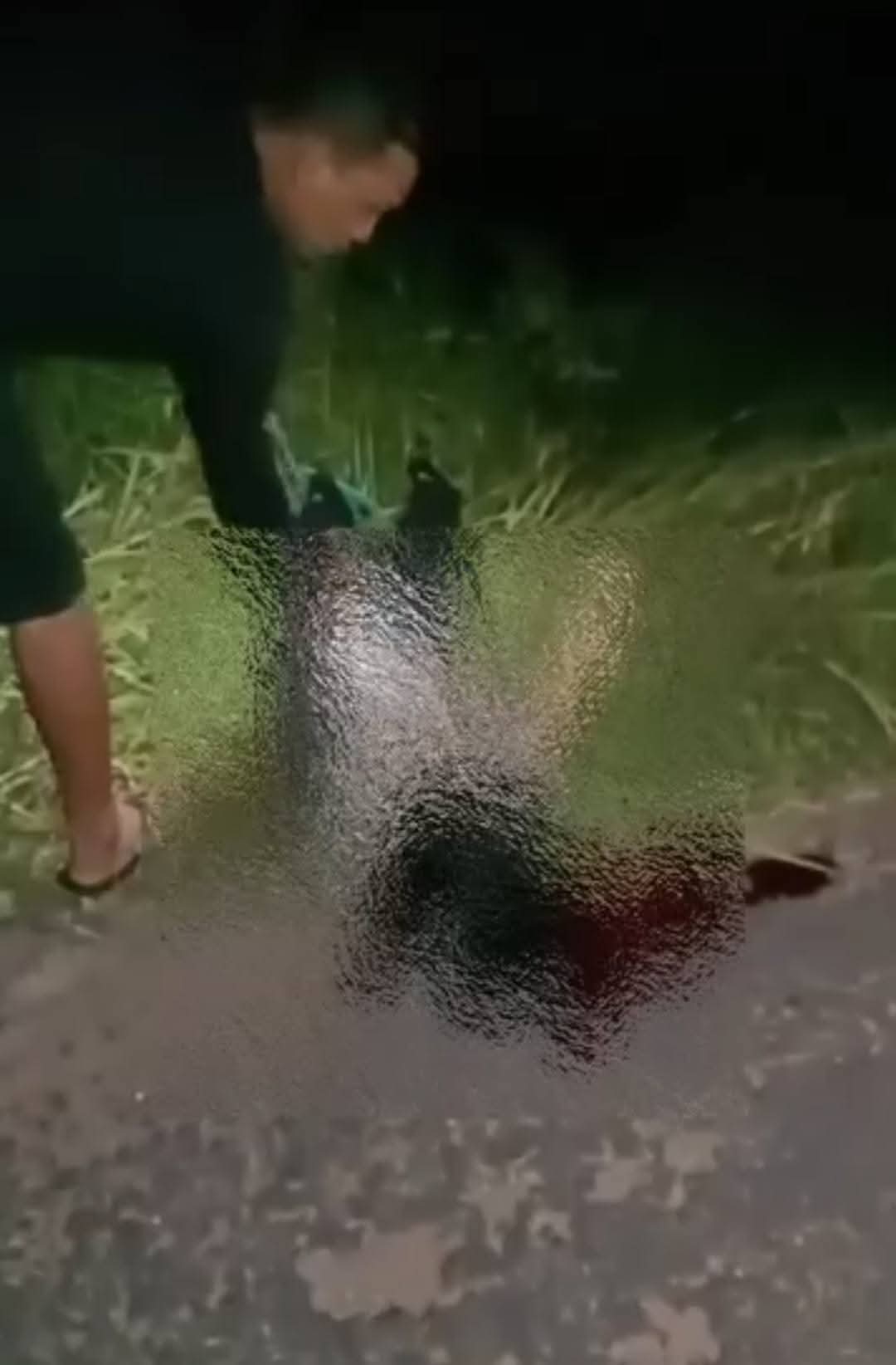 Perempuan di Ketapang Ditemukan Bersimbah Darah, Polisi Selidiki Dugaan Begal