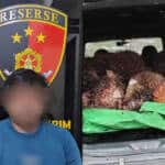 { \Illuminate\Support\Str::words($kategorix->post_title, 30, '') }}