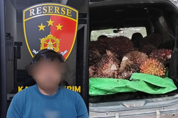 Jatanras Polres Sekadau Tangkap Pencuri Sawit, Satu Pelaku Masih Buron