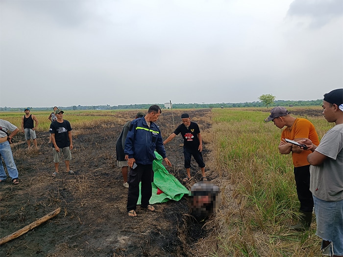 Perempuan 52 Tahun Ditemukan Tewas Terbakar di Sawah Sambas, Polisi Duga Kecelakaan Saat Cek Api Pembakaran