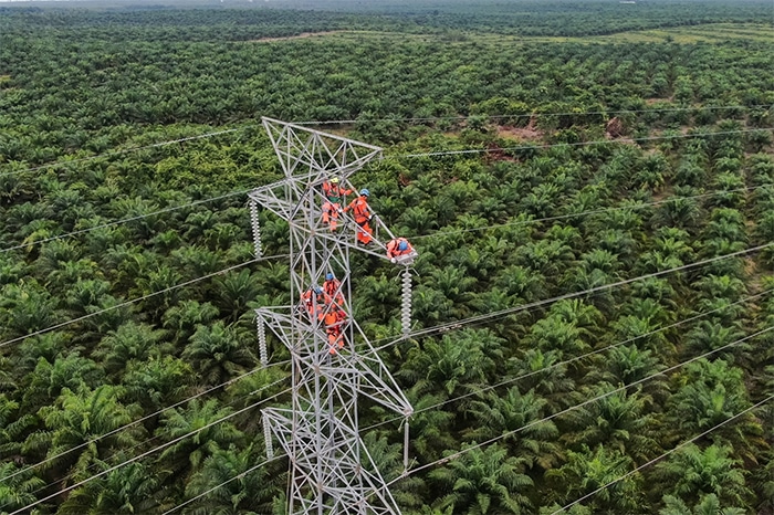 Sedikit Lagi, PLN Berhasil Operasikan 2 Sirkit Transmisi di Kalteng dan Kalbar Jelang Kemerdekaan RI ke-80