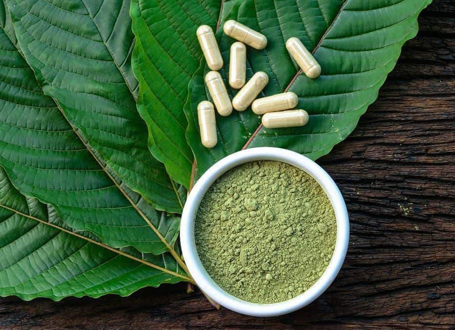 Dukung Tata Kelola Kratom, Pemprov Kalbar Tengah Siapkan Regulasi Ekspor Melalui Pelabuhan Kijing
