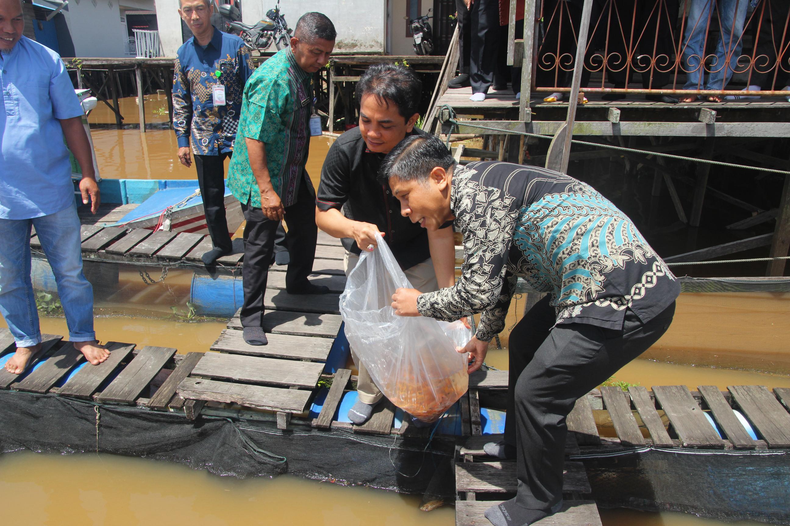 Wako Pontianak Bahasan Salurkan 10 Ribu Benih Ikan ke Lima Kelompok Pembudidaya