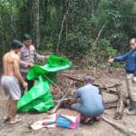 { \Illuminate\Support\Str::words($kategorix->post_title, 30, '') }}