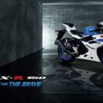 { \Illuminate\Support\Str::words($kategorix->post_title, 30, '') }}