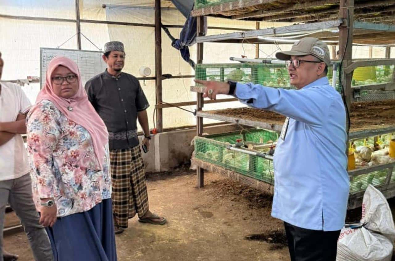 BPKP Temukan Program MBG Mulai Tingkatkan Perekonomian Lokal