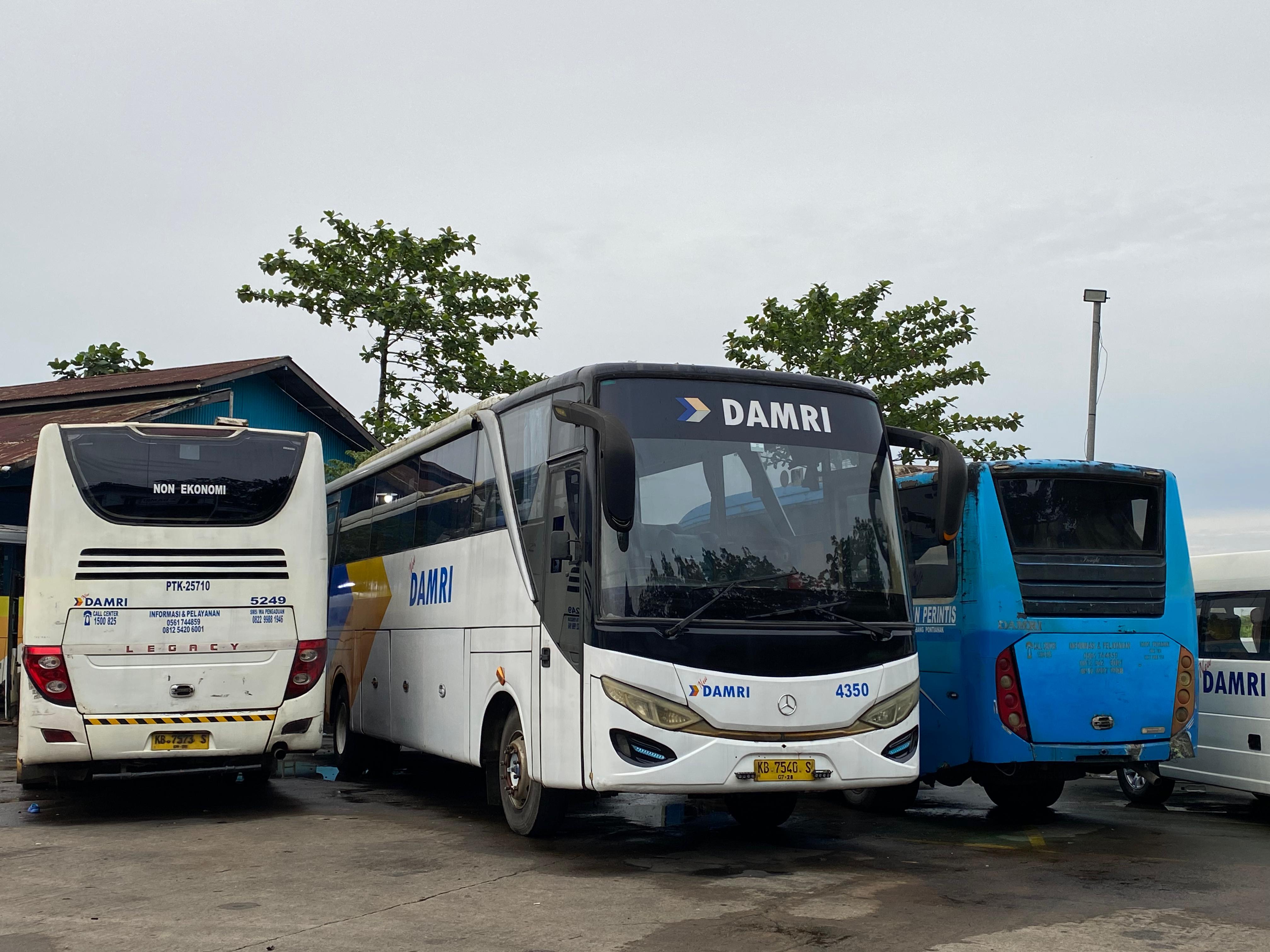Beroperasi Setiap Hari, Ini Fasilitas Bus Eksekutif Damri Pontianak - Palangkaraya Tanpa Transit