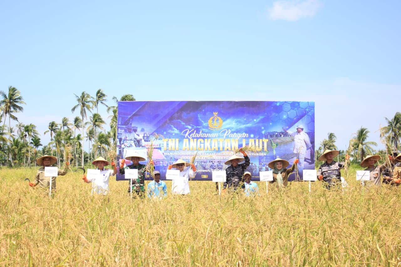 Dandim Mempawah Hadiri Panen Raya TNI AL, Komitmen Wujudkan Prabowo Food Security Roadmap