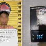 { \Illuminate\Support\Str::words($kategorix->post_title, 30, '') }}