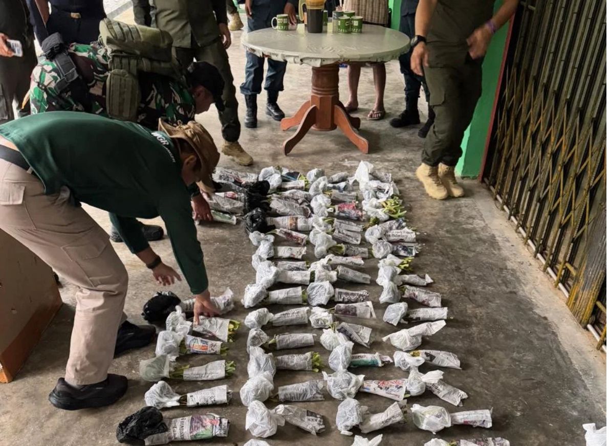 Tim Gabungan Dua Negara Gagalkan Penyelundupan Ratusan Tanaman Tanduk Rusa di Perbatasan Kalimantan Barat