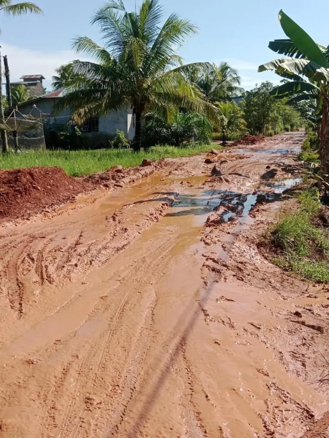 Warga dan Aktivis Mahasiswa Keluhkan Kerusakan Jalan Teluk Batang - Seponti