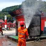 { \Illuminate\Support\Str::words($kategorix->post_title, 30, '') }}