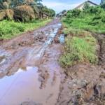 { \Illuminate\Support\Str::words($kategorix->post_title, 30, '') }}