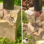 { \Illuminate\Support\Str::words($kategorix->post_title, 30, '') }}