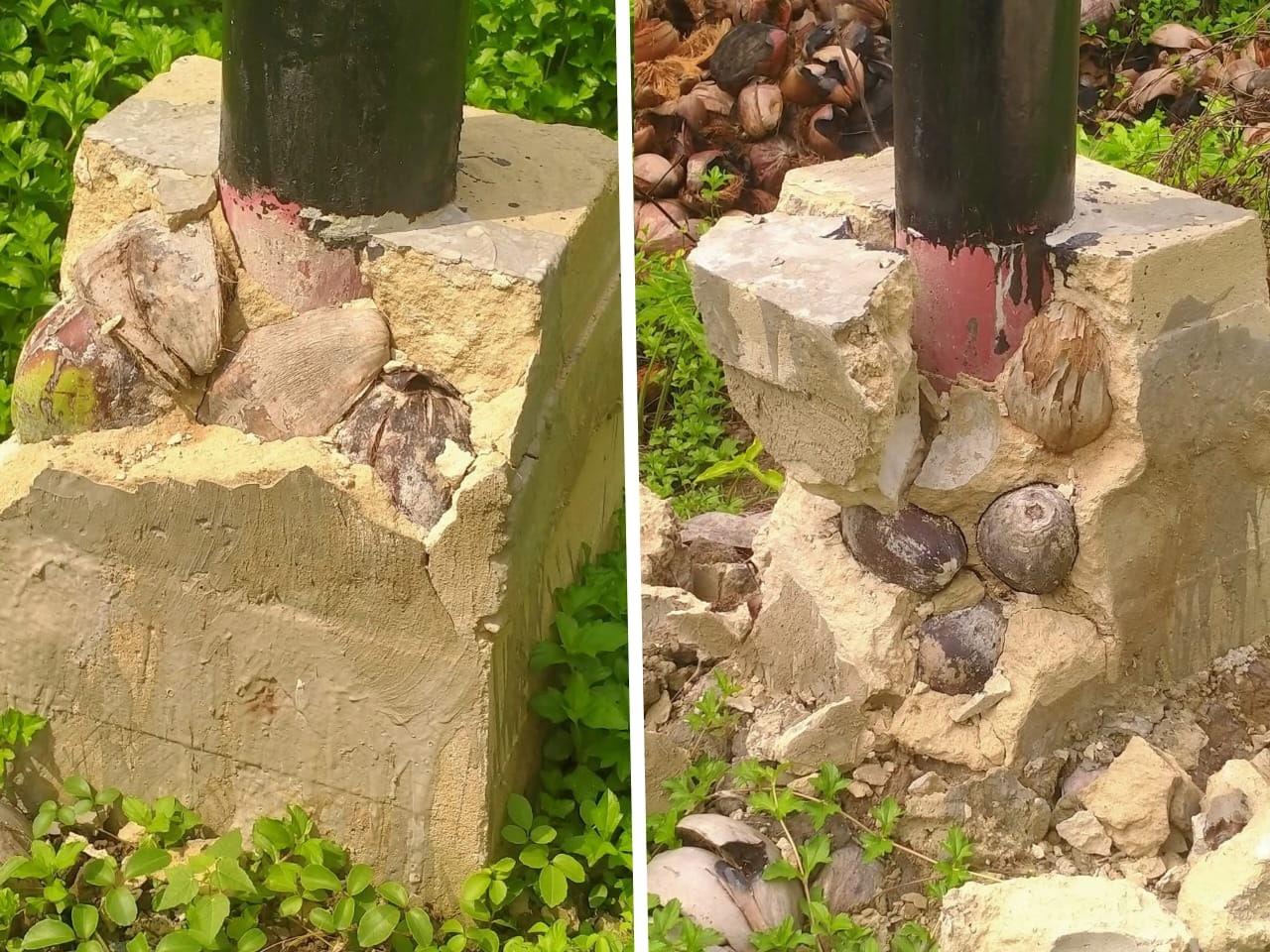 PLN Singkawang Periksa Pekerjaan Pembangunan Jaringan Listrik Baru, Pastikan Standar Kualitas dan Keamanan untuk Penguatan Keandalan Sistem Kelistrikan