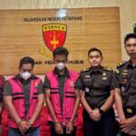 { \Illuminate\Support\Str::words($kategorix->post_title, 30, '') }}