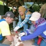 { \Illuminate\Support\Str::words($kategorix->post_title, 30, '') }}