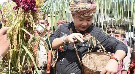 Sekda Ketapang Alexander Wilyo menghadiri acara adat Bejujokng atau syukuran atas datangnya musim panen padi di Dusun Gerai, Desa Gemma, Kecamatan Simpang Dua